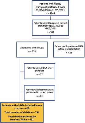 The natural history of de novo donor-specific HLA antibodies after kidney transplantation